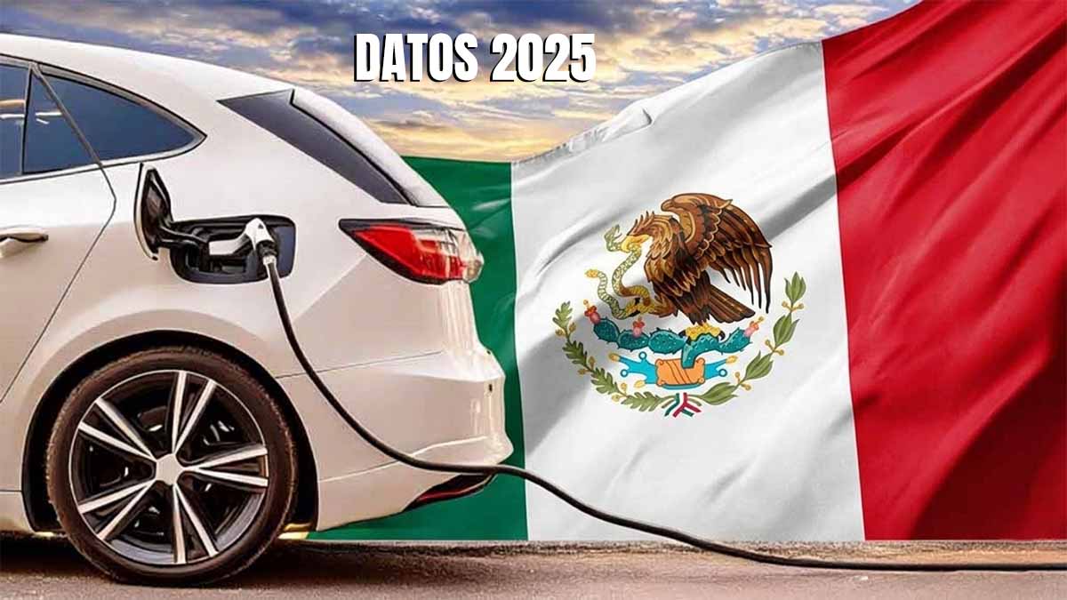 Datos y análisis- así han sido las matriculaciones de coches eléctricos en México en 2025