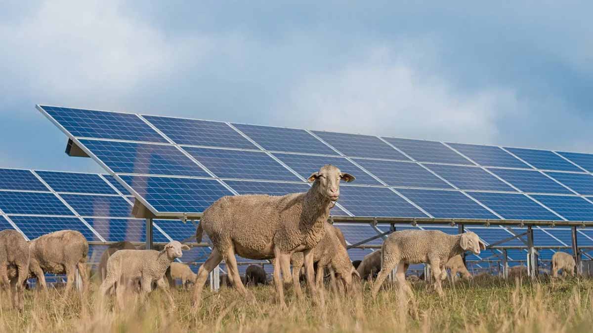 El pueblo salmantino que logra el 80% de sus ingresos municipales vendiendo energía solar