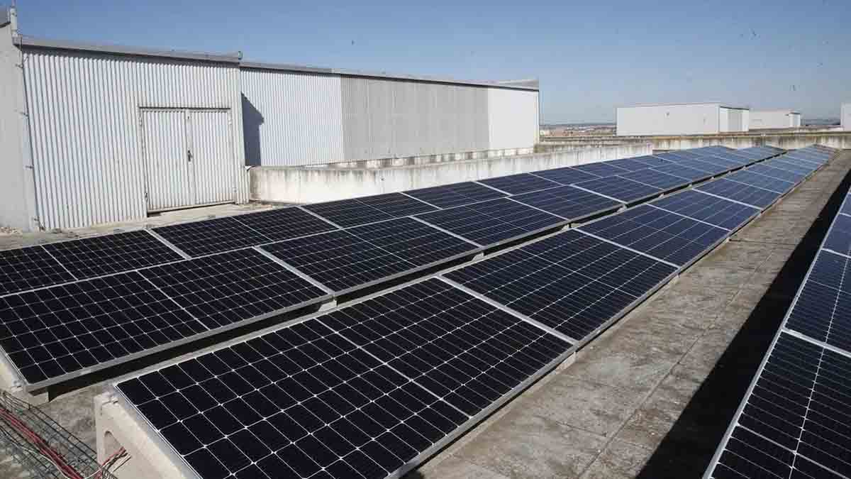 León despliega una red de autoconsumo con 2.481 placas solares